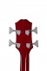Newport Bass Cherry Oc