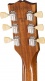 Es-335 Figured Honey Amber