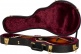 F5-G Sierra Hull VOS Varnish