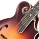 Sierra Hull Master Model VOS Varnish