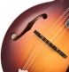 Sierra Hull Master Model VOS Varnish