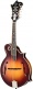 Sierra Hull Master Model VOS Varnish