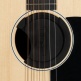 GIBSON GENERATION ACOUSTIC SOUNDHOLE COVER FEEDBACK SUPPRESSOR WITH PICKUP ACCESS