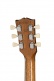 Les Paul Standard 50S Custom Color Transparent Honey Amber