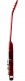 Les Paul Studio Wine Red Cream Trim