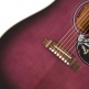 Hummingbird Standard Purple Burst