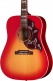 Hummingbird Special Satin Vintage Sunburst