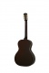 L-00 Original Vintage Sunburst Oc