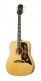 FRONTIER EPIPHONE ANTIQUE NATURAL GAUCHER OC