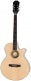 E1 PR-4E ACOUSTIC ELECTRIC PLAYER PACK 220V NATURAL