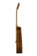 Hummingbird Custom Koa Antique Natural CS MC