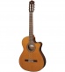 30 CTW Cutaway Cedre