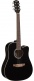 Ranger 6 Ce Black