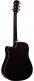 Ranger 6 Ce Brown Sunburst