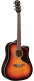 Ranger 6 Ce Brown Sunburst