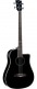 DREADNOUGHT BASSE CUTAWAY ÉLECTRO SEE THROUGH BLACK