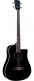Nxt B100Ce Dreadnought See Through Black