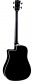Nxt B100Ce Dreadnought See Through Black