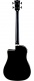 Nxt B100Ce Dreadnought See Through Black
