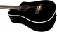 DREADNOUGHT BASSE CUTAWAY ÉLECTRO SEE THROUGH BLACK