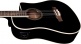 Nxt B100Ce Dreadnought See Through Black