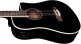 DREADNOUGHT BASSE CUTAWAY ÉLECTRO SEE THROUGH BLACK