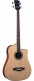 Nxt B100Ce Dreadnought Natural
