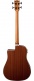 Nxt B100Ce Dreadnought Natural