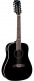 DREADNOUGHT 12 CORDES ÉLECTRO SEE THROUGH BLACK