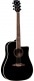 SEE THROUGH BLACK ELECTRO CUTAWAY DREADNOUGHT