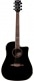 NXT D100CWE DREADNOUGHT CUTAWAY SEE THROUGH BLACK