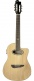 Nxt N100Ce Natural