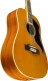 Ranger Xii Eq Vintage Reissue Dreadnought Vintage Natural