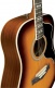 Ranger Vi Eq Vintage Reissue Dreadnought Honey Burst