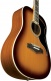 Ranger Vi Eq Vintage Reissue Dreadnought Honey Burst