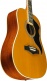 Ranger Vi Eq Vintage Reissue Dreadnought Vintage Natural
