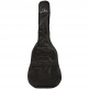 Cs-2 1/2 Sunburst + Gigbag