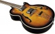 Type Hollowbody Jazz single cut Sunburst