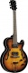 Type Hollowbody Jazz single cut Sunburst