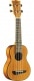 UKULL DUO SOPRANO LCTRO PACK HOUSSE ET ACCESSOIRES