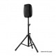 AS-2108P - 8 INCH POWERED LOUDSPEAKER