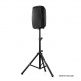 AS-2110P - DIFFUSORE AMPLIFICATO DA 10 POLLICI