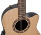 1767-4S-G Legend Usa Natural Satin