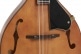 MANDOLINO A-ANTIQUE OPEN PORE VINTAGE