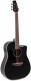 Aed96-5Hg Wood Classics Black Gloss