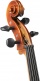 ANNIVERSARY CELLO 3/4 SET UP
