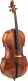 ANNIVERSARY CELLO 3/4 SET UP