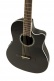 e-akoestische klassieke gitaar celebrity cs standard mid cutaway