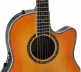 Série Pro Custom Balladeer Deep Contour Honey Burst