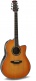 Série Pro Custom Balladeer Deep Contour Honey Burst